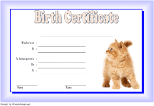 Read more about the article Cat Birth Certificate Template Free Download (2024 Kitten Credentials)