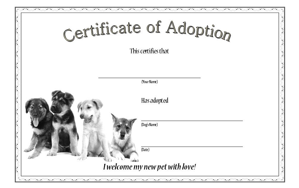 Dog Adoption Certificate Free Printable (Take a Paws for 2024 Celebration): Microsoft Word, PDF, puppy, editable template, pet, animal, customizable.