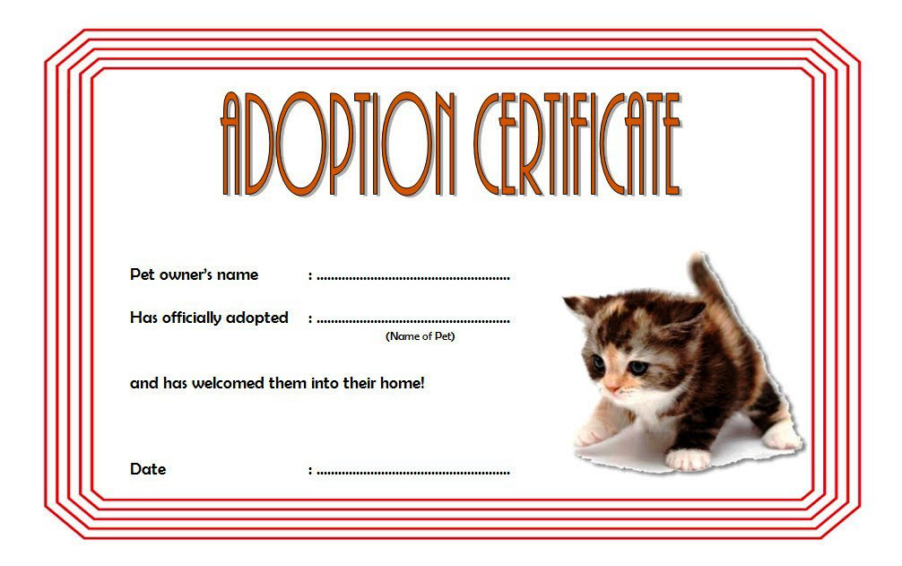 2024 Cat Adoption Certificate Template Free Editable (Meow or Never): kitten, pet, customizable, Microsoft Word, PDF format, printable, animal.