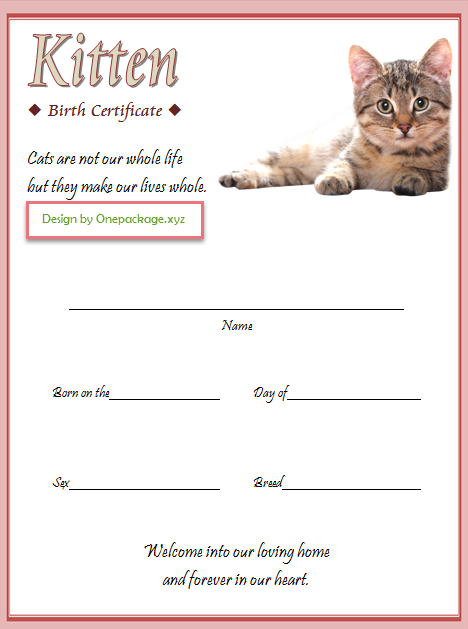 Cat Birth Certificate Template Free Download (2024 Kitten Credentials): Microsoft Word, PDF, editable, customizable, printable, animal, pet.
