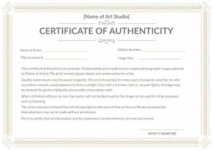 Read more about the article 100% FREE Certificate of Authenticity Photography Template